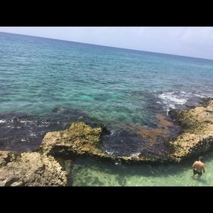 Meet your Posher, Dafina